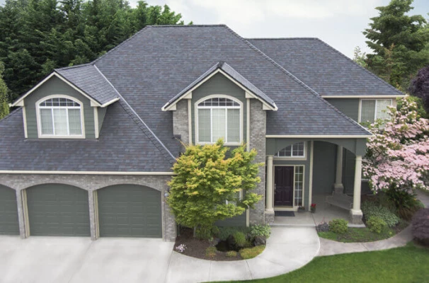 original-223-1056-1432162154-legacy_black-oak_1