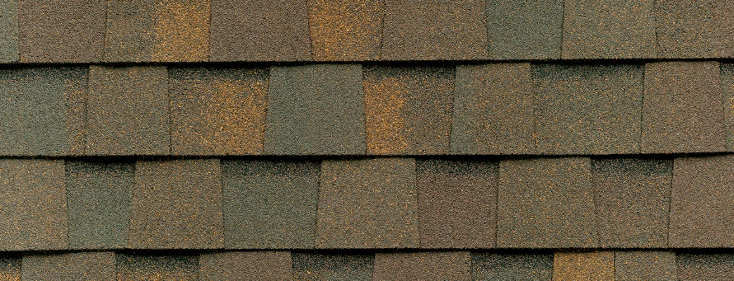 original-304-1856-landmarkpro-so-mdhebl-1200x460