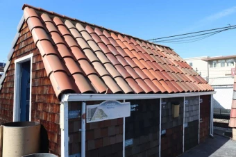 Belmont_image8-768x512