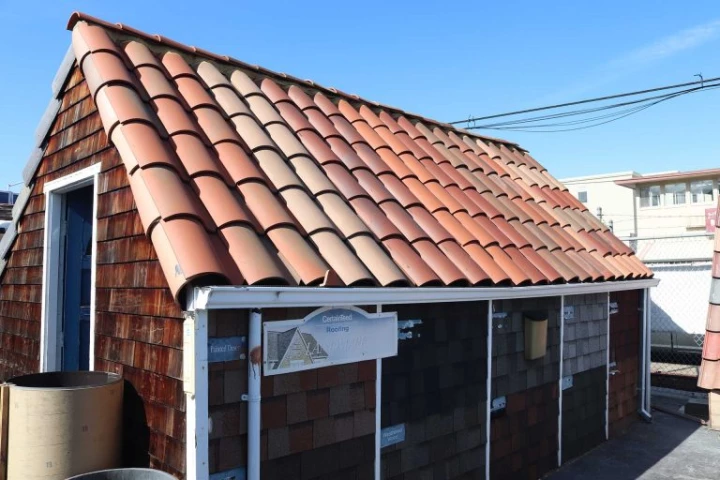 Belmont_image8-768x512